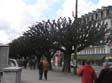 P4010953.jpg